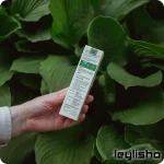 قیمت ضد آفتاب اکسیس وای